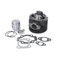 CYLINDER SÆT DMP 65CC - Ø41/12 MM.